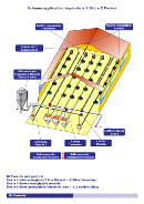 Schema 1 th